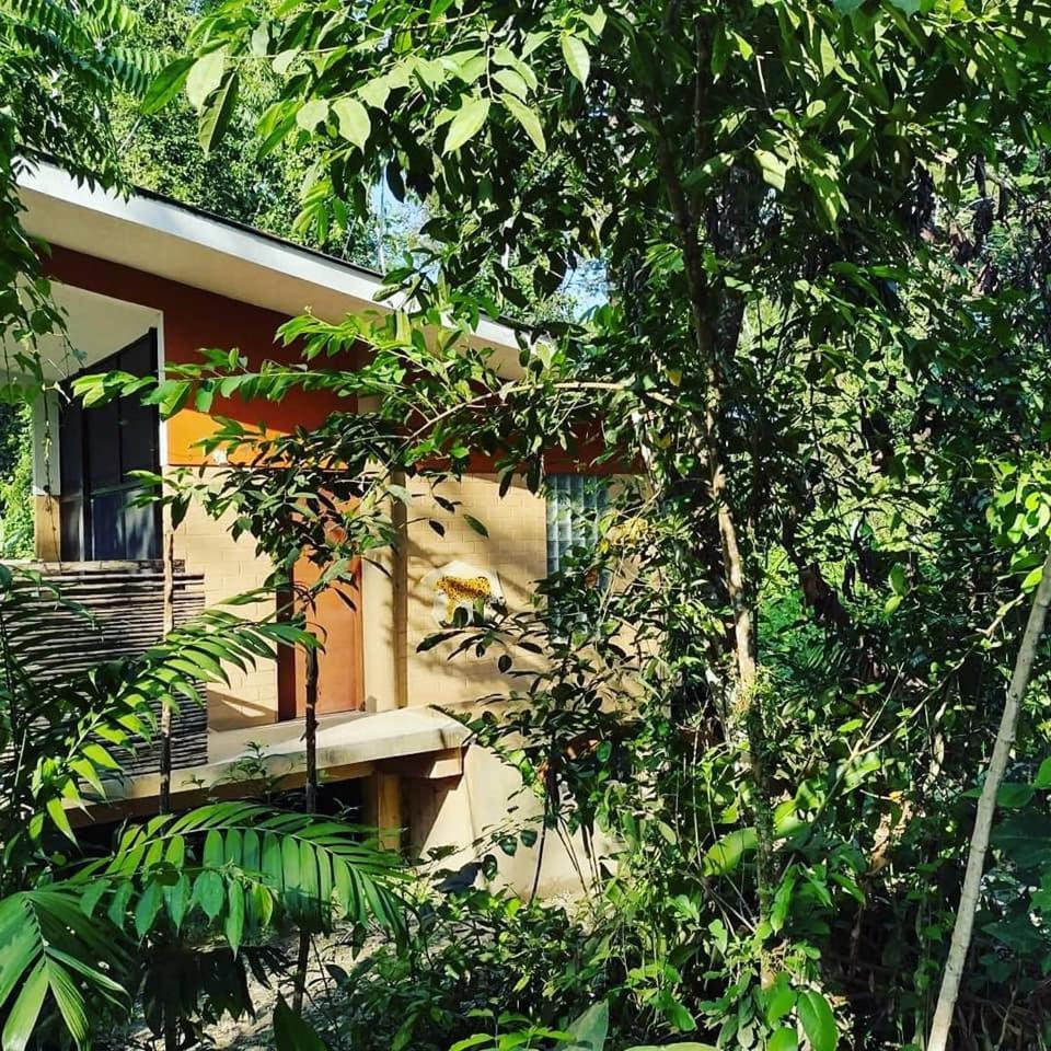 Canto De La Selva Jungle Lodge Selva Lacandona Chiapas Galaxia Exterior photo
